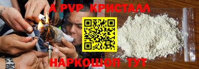 гашик Нарткала