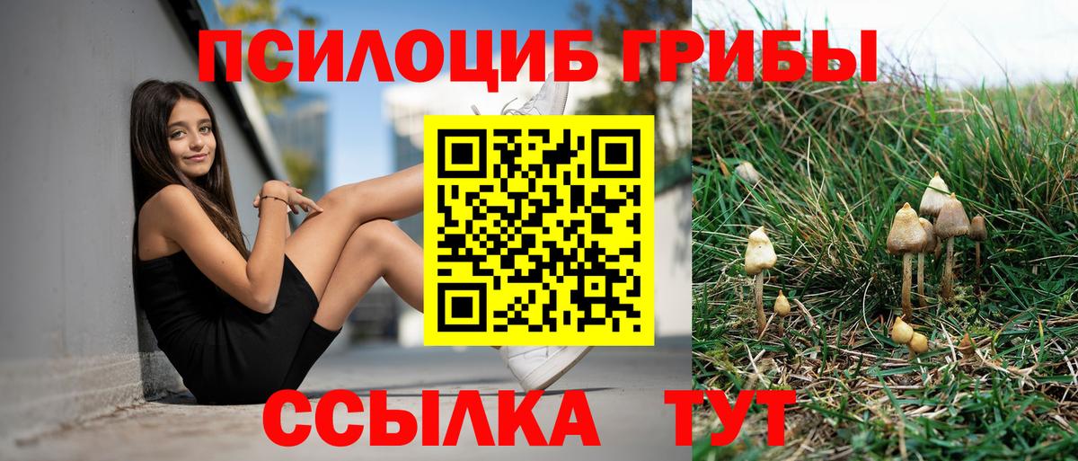 Галлюциногенные грибы Psilocybine cubensis  Вход с VPN  Солнечногорск  Галлюциногенные грибы прущие грибы 